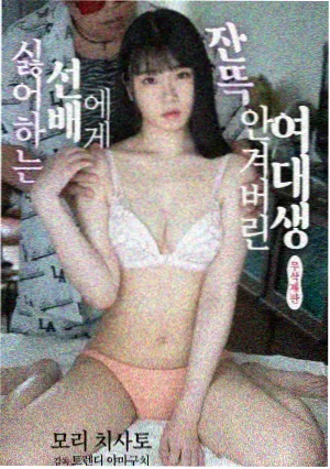 中洲岛渡口夜间航班时刻表与接驳指引